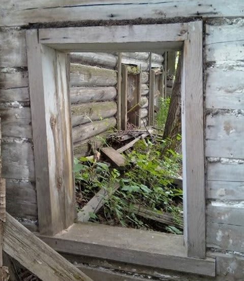 Окосячка служит долгие годы